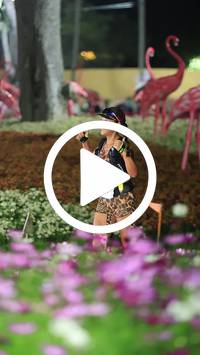 BIB:  <button type="button" onclick="openModal(27589980)" class="btn btn-primary btn-sm float-right" data-toggle="modal" data-target=".modal-high-quality">
                <i class="fa fa-download"></i> Download
                </button>